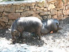 183 D21 SANARY SUR MER 1_000026